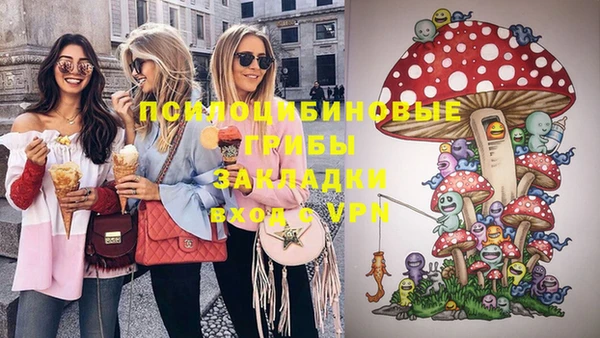 а пвп мука Инта