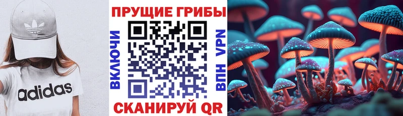 Галлюциногенные грибы мухоморы  Купить закладки  Няндома 